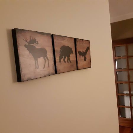 My Home In Oporto Maía Εξωτερικό φωτογραφία